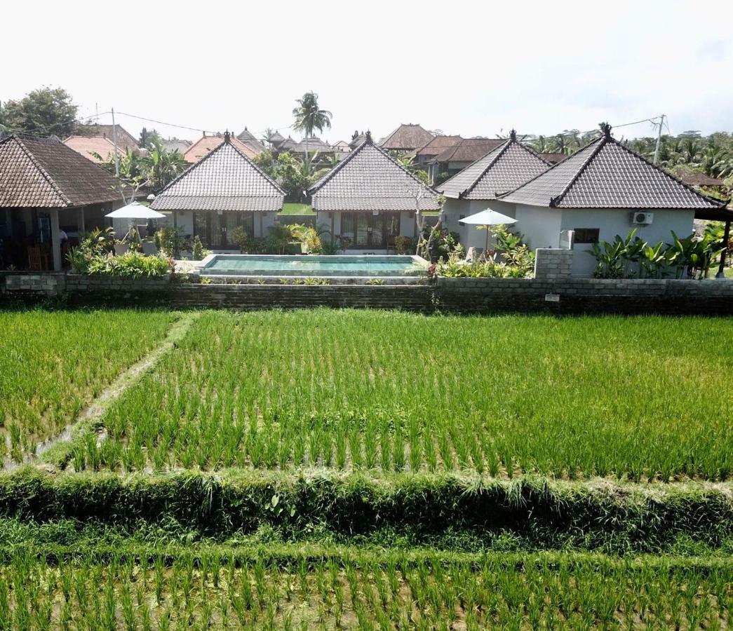 Paraiso Cottage Ubud Esterno foto