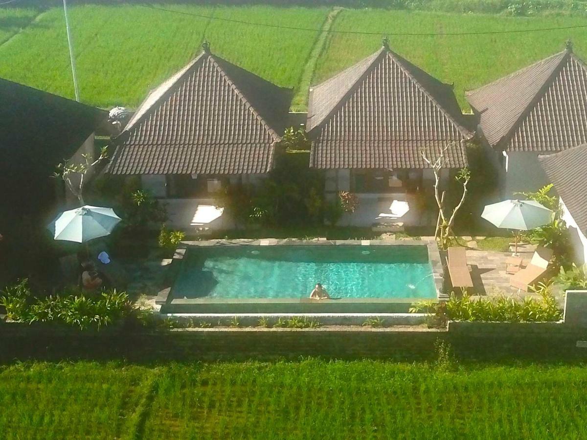 Paraiso Cottage Ubud Esterno foto