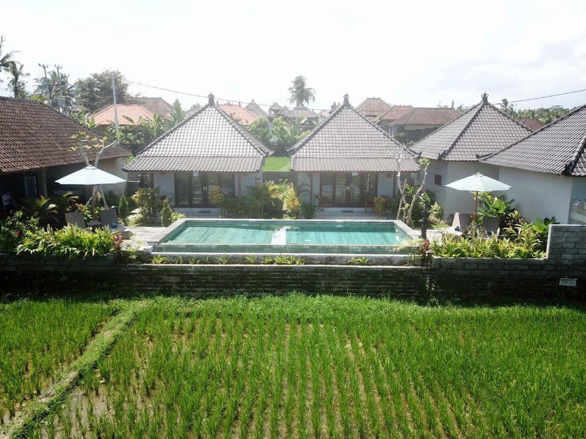 Paraiso Cottage Ubud Esterno foto